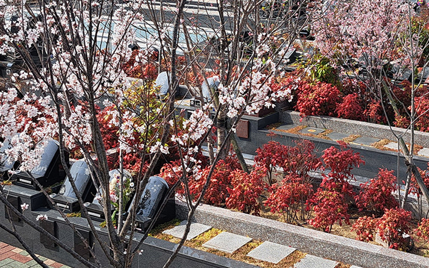 樹木葬「ソレイユ」